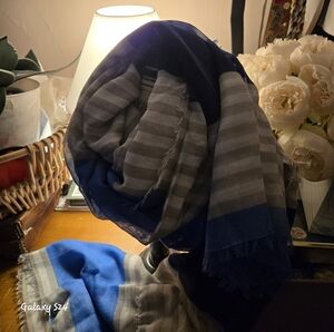 American Eagle Outfitters Blue and Gray Scarf and Wrap